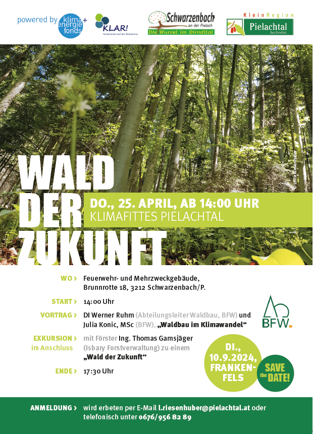 Wald der Zukunft