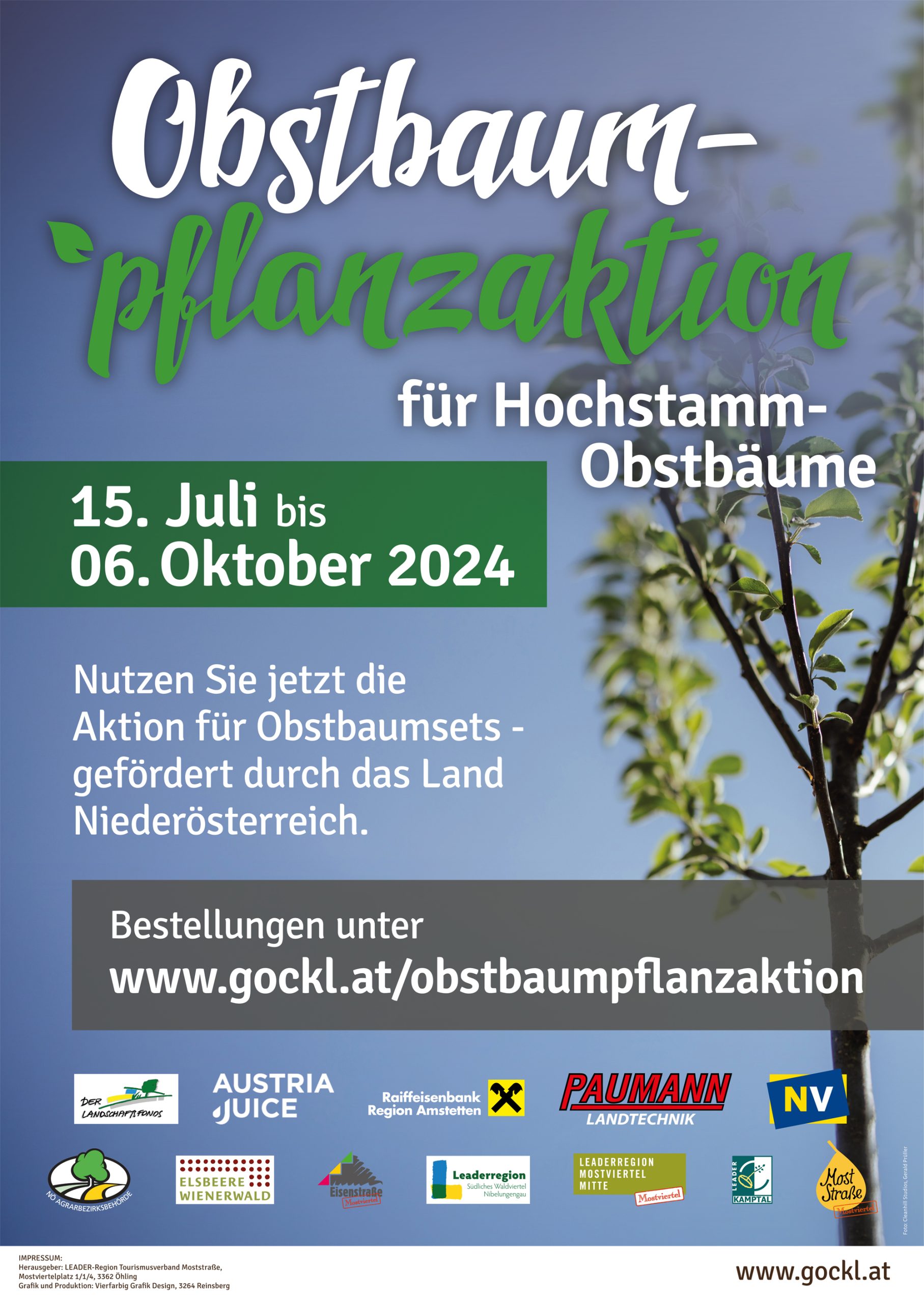 Hochstamm-Obstbaum-Pflanzaktion