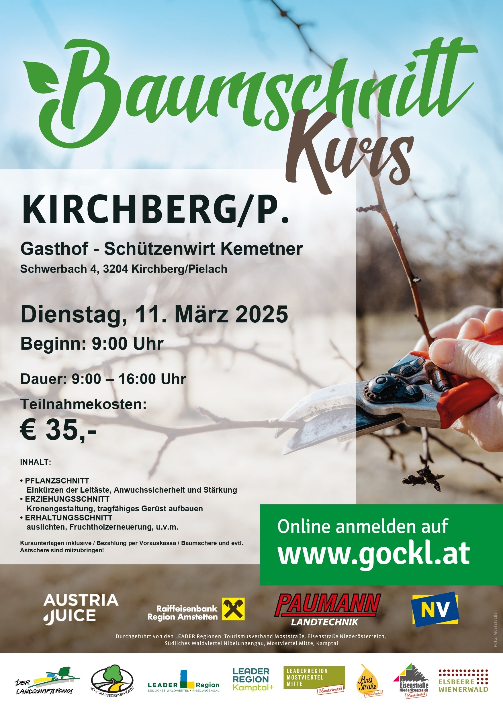 Baumschnittkurs in Kirchberg