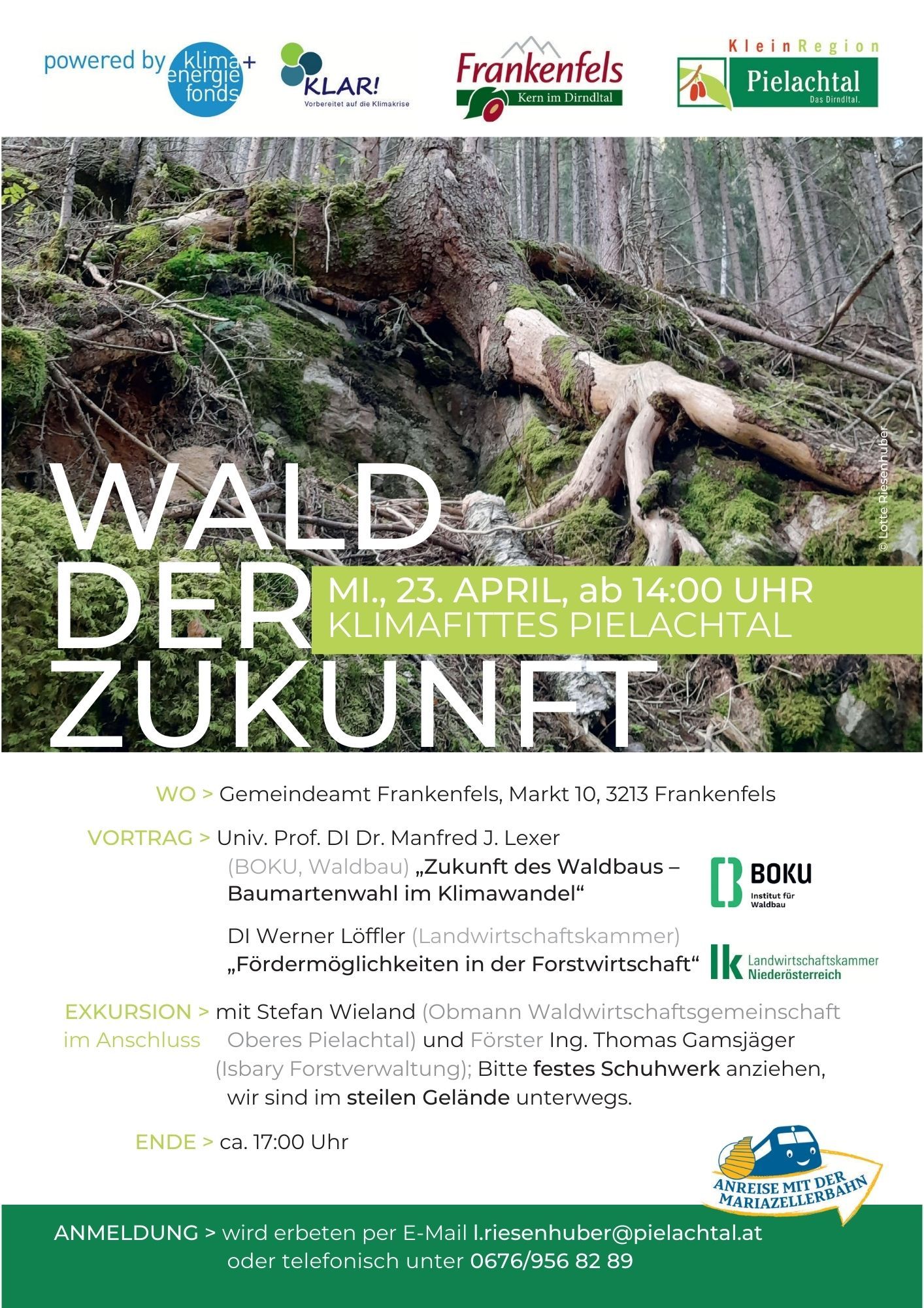 Wald der Zukunft