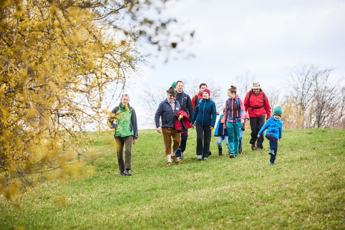 Eine Gruppe von Menschen wandert durch wunderschöne gelb blühende Dirndlsträucher